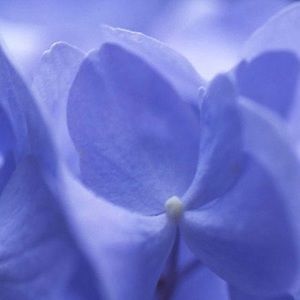 Meet your Posher, Judy